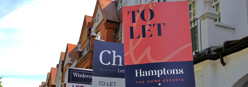 A row of terraced houses with “to let” signs outside.